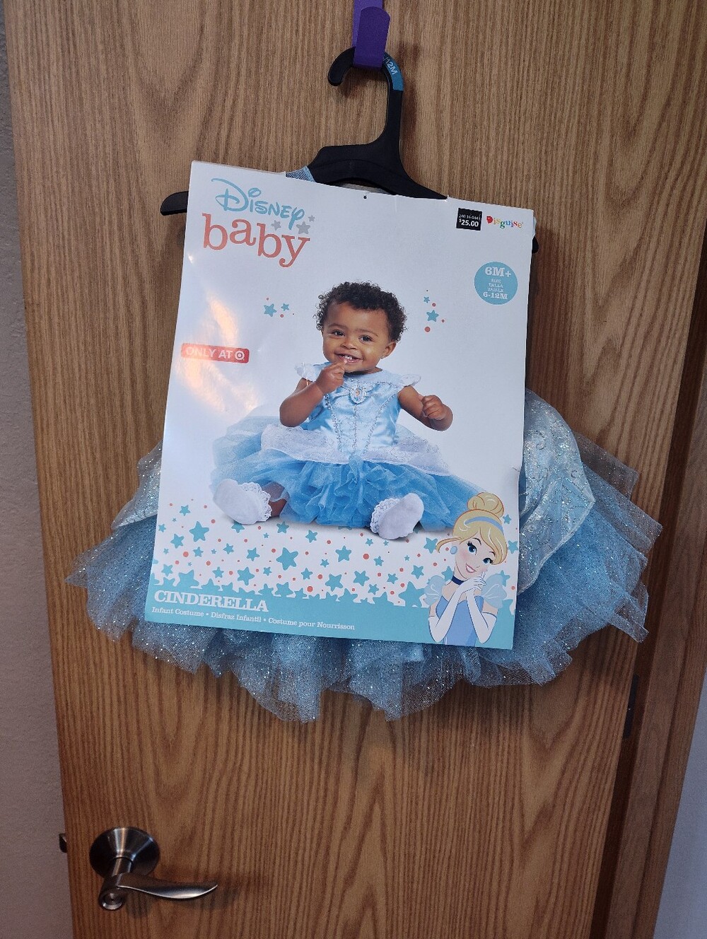 Disney Baby Cinderella Light Blue Sparkle Tulle Costume
